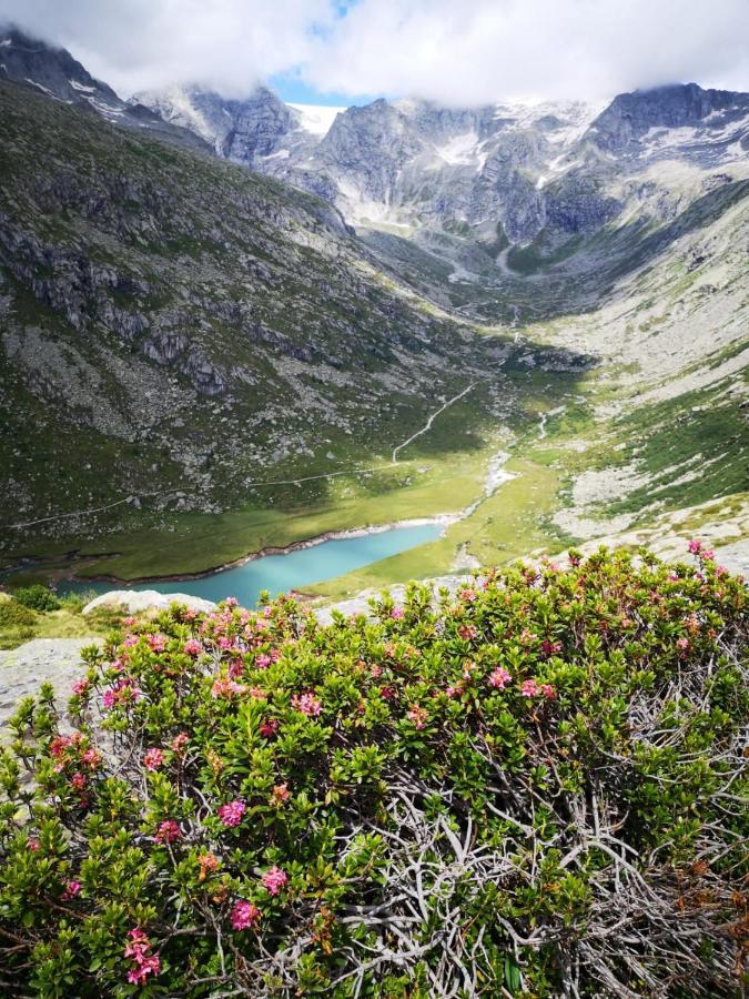 Hotel Rifugio Stella Alpina Saviore dell'Adamello Exterior foto